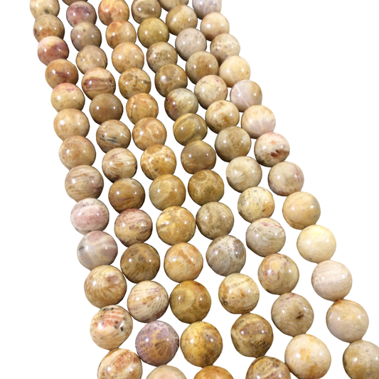 10mm Glossy Finish Natural Tan/Yellow Fossilized Coral Round/Ball Shaped Beads with 1mm Holes - Sold by 15.5" Strands (Approx. 42 Beads)