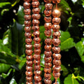 Rose Gold Plated Pyrite Rondelle Beads - 4mm Faceted