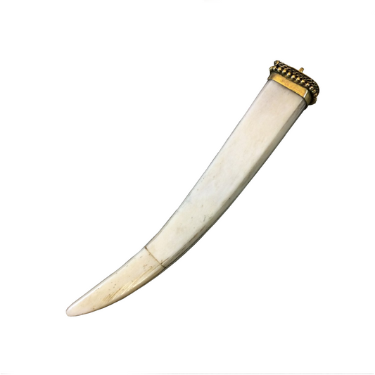 4.5" White/Ivory Square Tusk/Claw Shaped Natural Ox Bone Pendant with and Dotted Gold Cap - Measuring 17mm x 116mm - (TR048-WH)