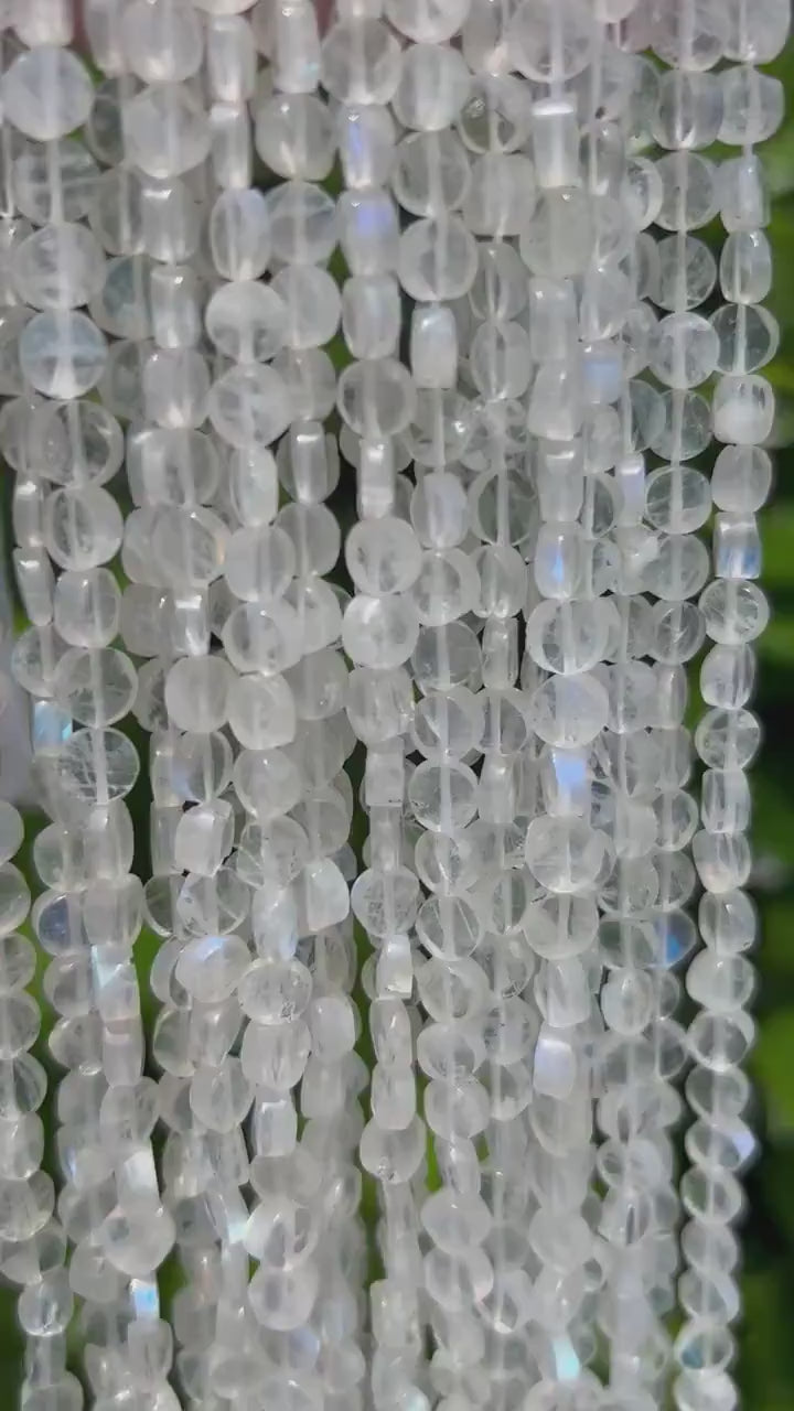 Faceted Coin Shaped Rainbow Moonstone Beads - 6mm