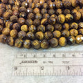 10mm Natural Brown Tiger Eye Faceted Round/Ball Shaped Beads with 2.5mm Holes - 7.75" Strand (Approx. 20 Beads) - LARGE HOLE BEADS