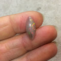 Natural Ethiopian Opal Smooth Marquise Shaped Flat Back Cabochon 'CC' - Measuring 8mm x 18.5mm, 5mm Dome Height - High Quality Gemstone Cab