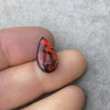 OOAK Backed Ammonite Teardrop Shaped Flat Back Cabochon "AMB" - Measuring 9mm x 16mm, 3mm Dome Height - Natural High Quality Fossil