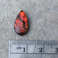 OOAK Backed Ammonite Teardrop Shaped Flat Back Cabochon "AMB" - Measuring 9mm x 16mm, 3mm Dome Height - Natural High Quality Fossil