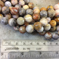 10mm Natural Crazy Lace Agate Faceted Round/Ball Shaped Beads with 1mm Holes - 15.5" Strand 37 beads Approx - Sold by the Strand