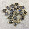 Labradorite Bezel | Gold Finish Freeform Shaped Plated Copper Connector Component - Measures 12-15mm x 14x18mm - Sold Individually at Random