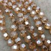 12mm Matte And Glossy Faceted Trans. Pale Orange Glass Crystal Flattened Hexagon Beads - 12.5" Strands (~ 28 Beads) - (CC12-084)