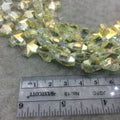 13mm x 13mm Glossy Faceted Transparent/Metallic Pale Yellow Crystal Glass Cross Shaped Beads - Sold By 12" Strands (~ 22 Beads)