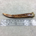 SALE - 4.5" Brown Squared Tusk/Claw Shaped Ox Bone Pendant with Carved Commas and Gold Cap - Measuring 18 x 105mm - (TR45WHSQCT)