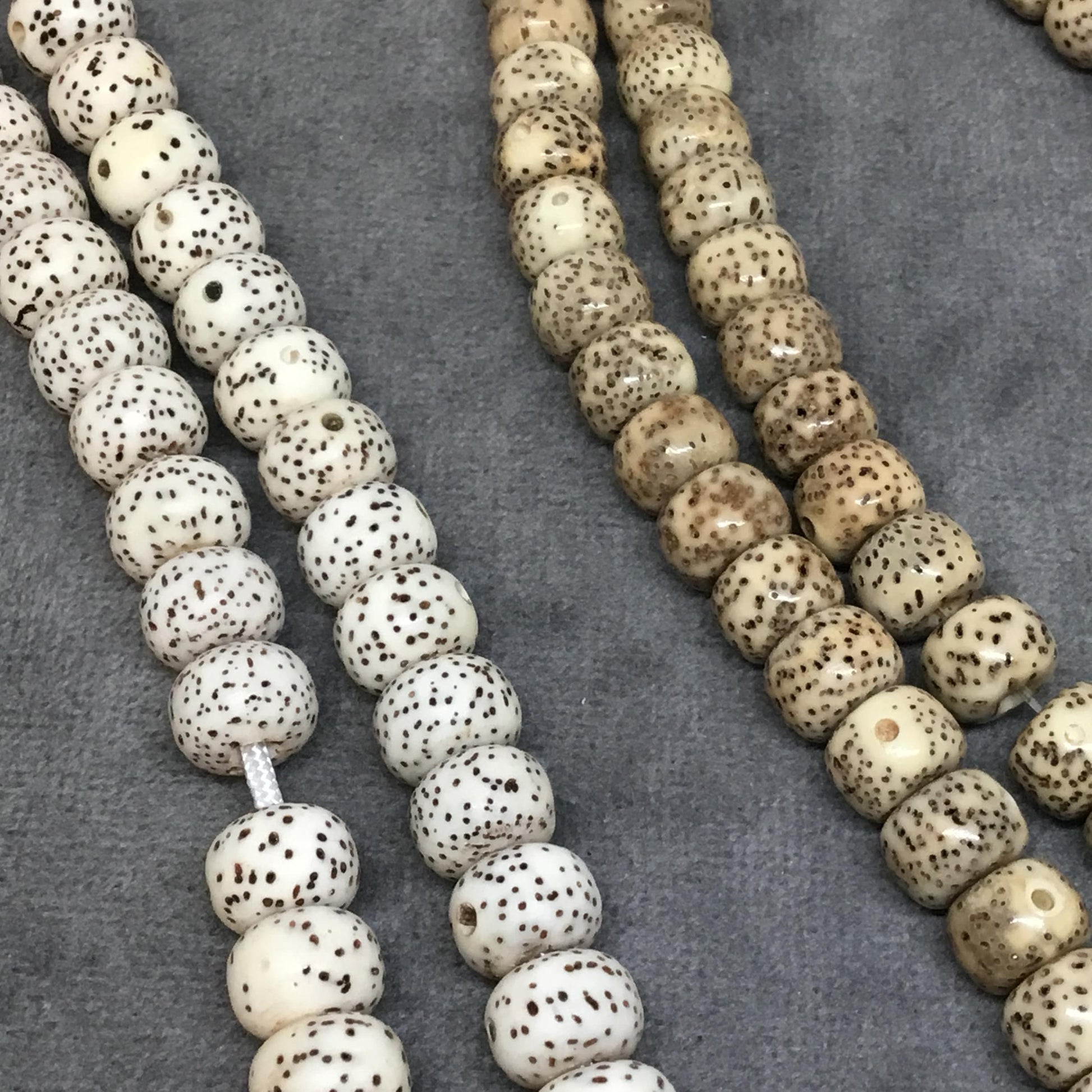 7mm x 9mm AAA Natural Spotted Bodhi/Lotus Seed/"Moon and Stars" Beads with 1mm Holes - Sold by Loose (Unstrung) Lots of 12 Beads Each