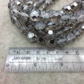 12mm Matte Stripe Faceted Trans. Medium Gray Glass Crystal Flattened Hexagon - 12.5" Strands (Approx. 30 Beads) - (CC12-101)