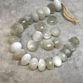 12mm Gray Moonstone Faceted Rondelle Beads