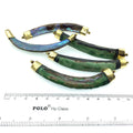 3.5" Iridescent Rainbow Curved Tusk/Claw Shaped Abalone Shell Pendant with Gold Floral Bails - Measuring 15mm x 90mm, Approx.