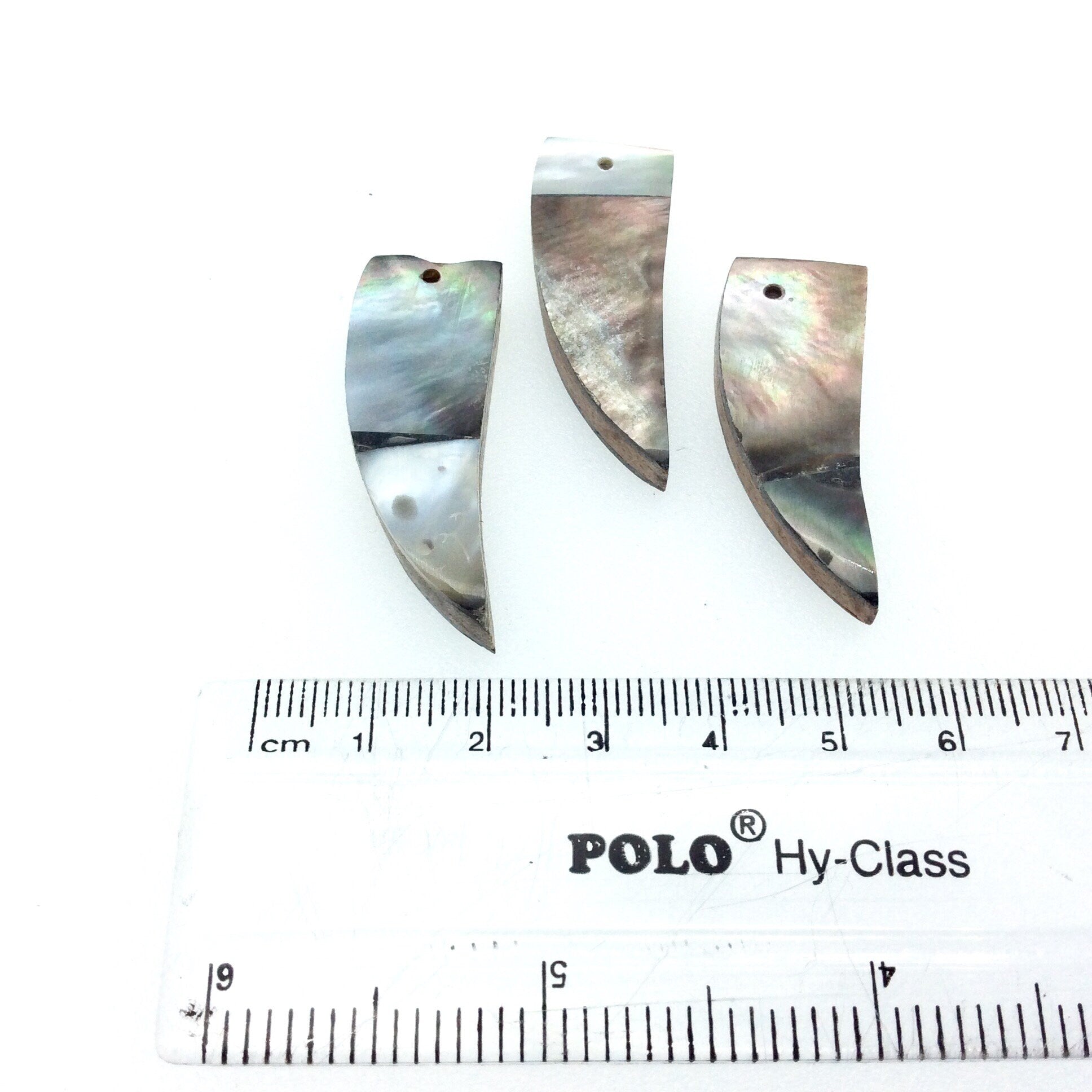 1 1/4" Iridescent Gray/White Natural Abalone Shell Tooth/Tusk Shaped Pendant - Measuring 13mm x 36mm, Approximately