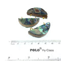 Rainbow Semi-circle Shaped Natural Shell Focal Pendant - 15mm x 37mm Approximately - Sold Individually