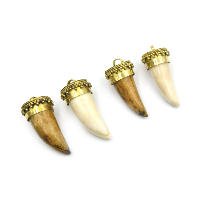 Bone Pendant | Mini Tusk/Claw Shaped Natural Ox Bone Pendant | Bone Ch –  Only Beads