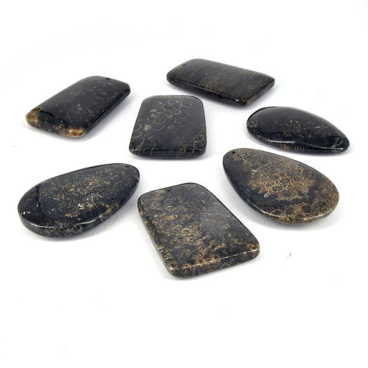 Drilled Turitella Pendant | Natural Top-Drilled Fossil Coral Cabochon | Turitella Teardrop Rectangle Pendant