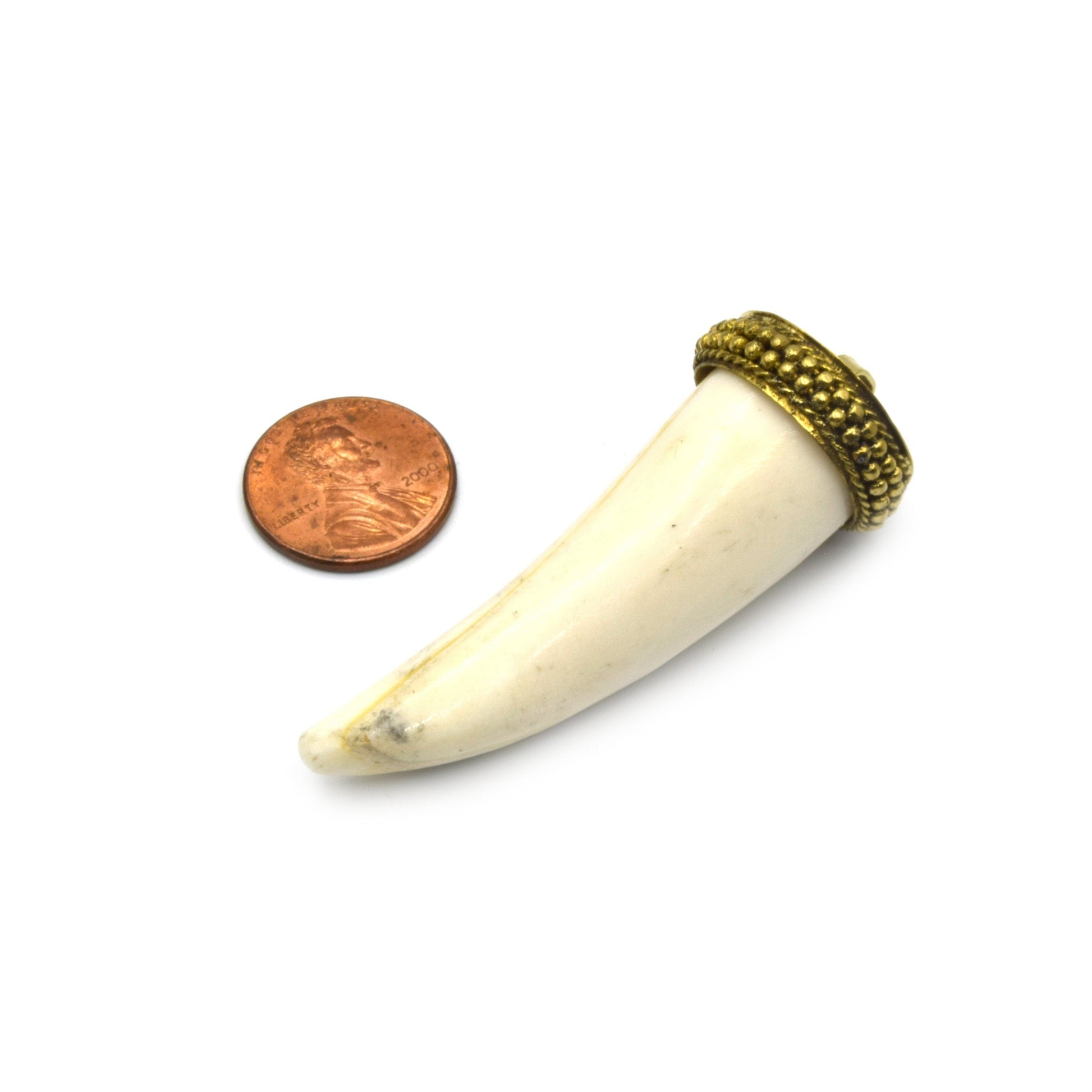 Bone Pendant | Small Tusk/Claw Shaped Natural Ox Bone Pendant | Bone Charm | White Tusk Brown Tusk | Gold Silver Cap Available