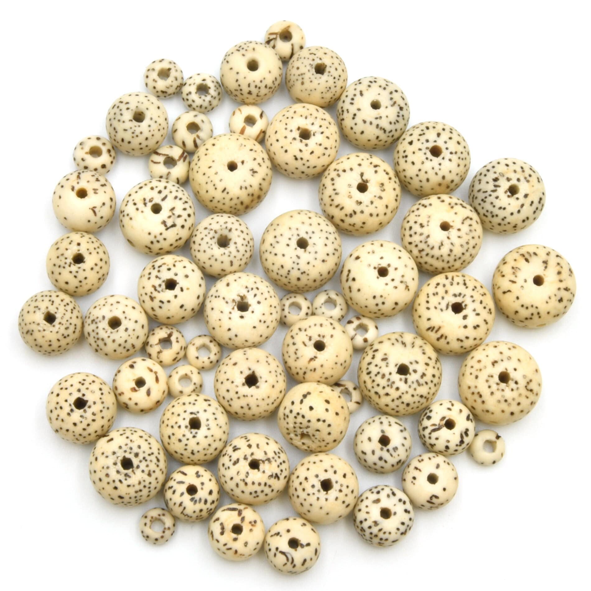 Bodhi Beads Natural AAA | Lotus Seed Beads | Moon and Stars Beads