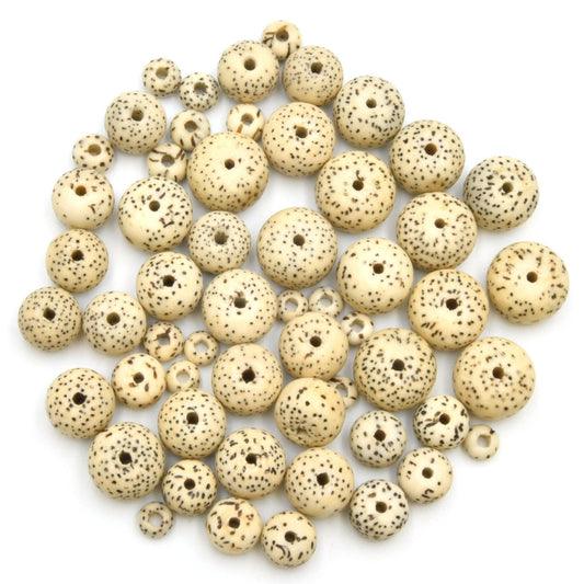 Bodhi Beads Natural AAA | Lotus Seed Beads | Moon and Stars Beads