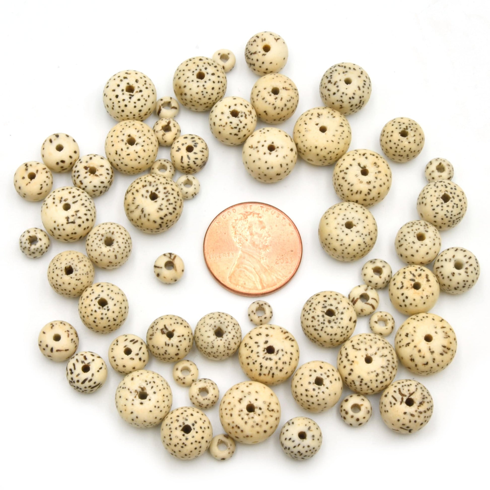 Bodhi Beads Natural AAA | Lotus Seed Beads | Moon and Stars Beads