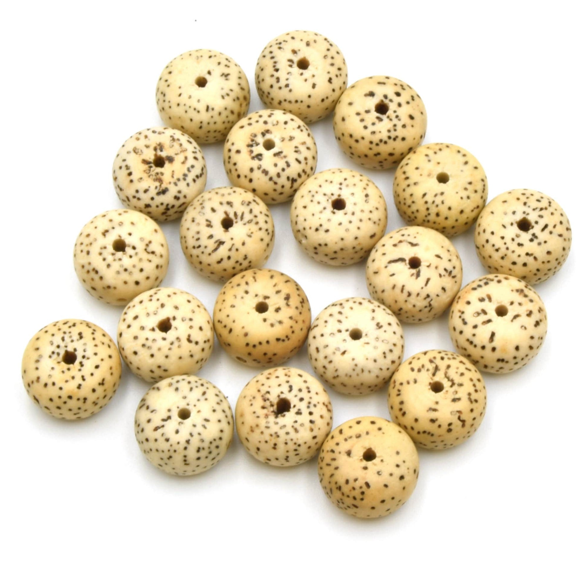 Bodhi Beads Natural AAA | Lotus Seed Beads | Moon and Stars Beads