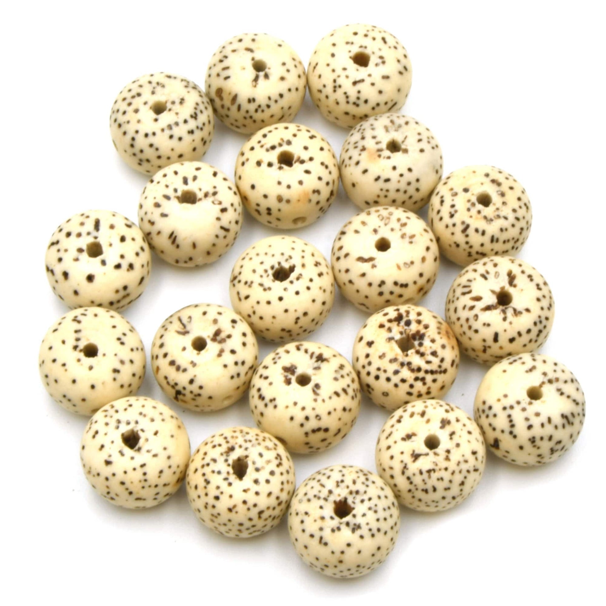 Bodhi Beads Natural AAA | Lotus Seed Beads | Moon and Stars Beads