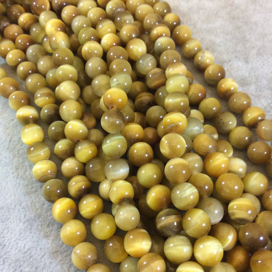 Golden Tigers Eye Round Bead Strand, 8mm, approx. 50 beads per strand